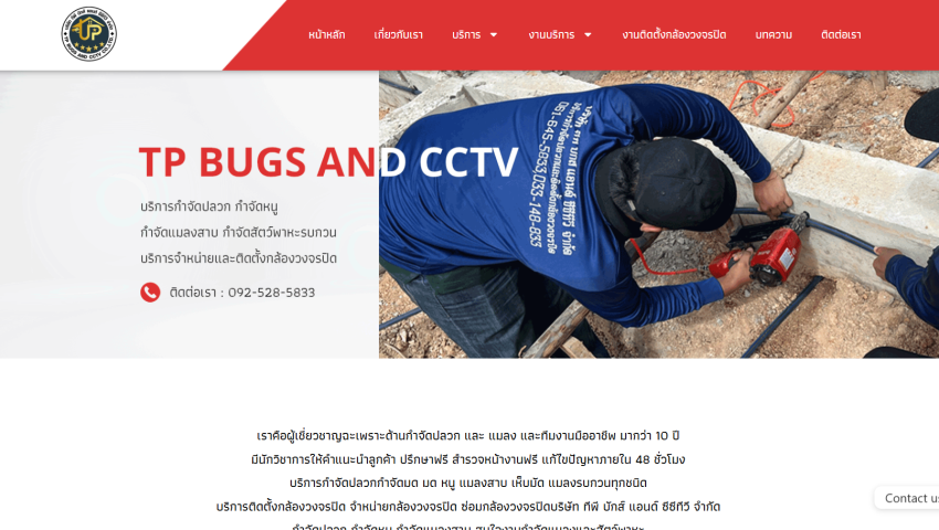 กำจัดปลวกและแมลง